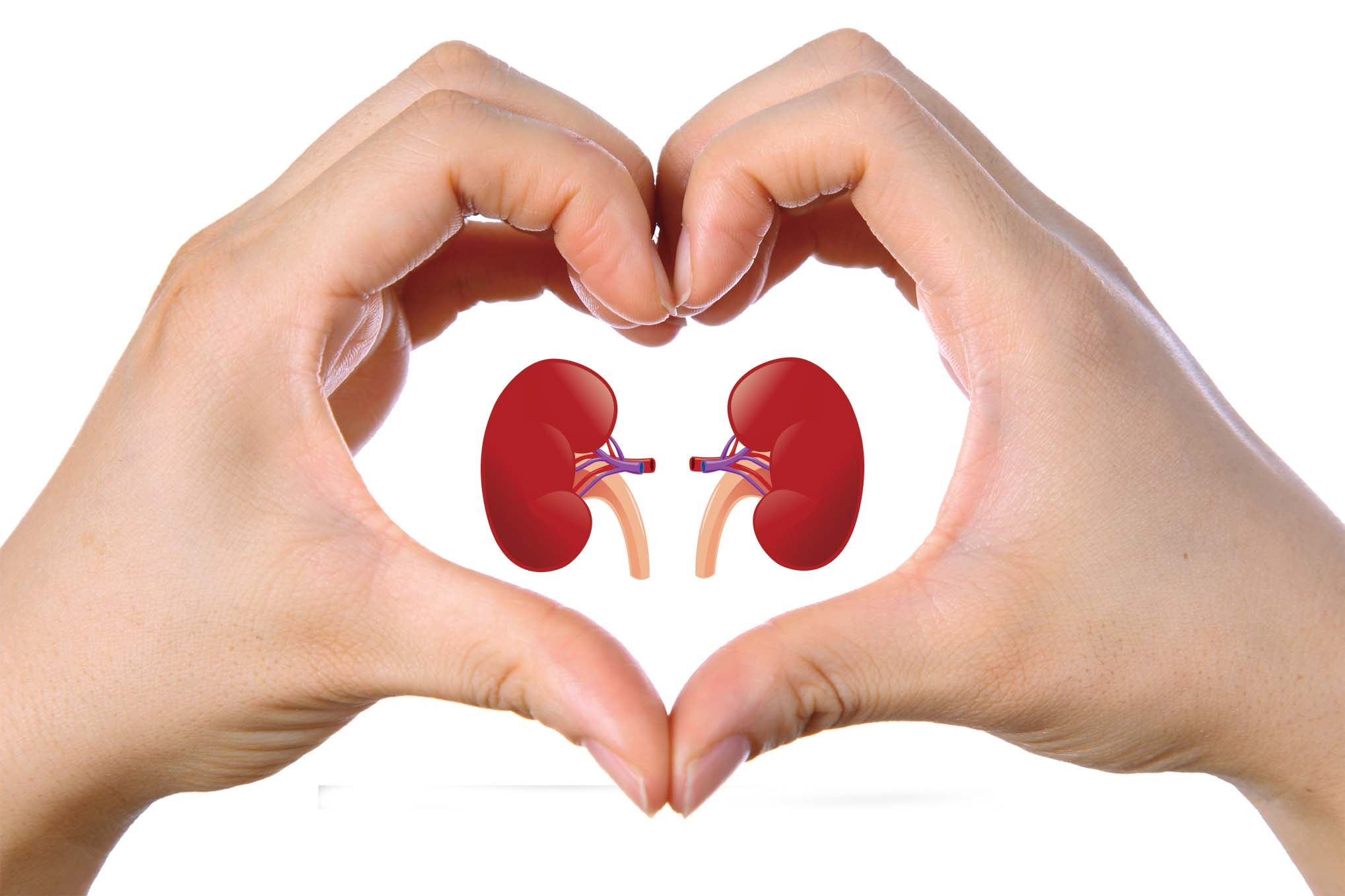 My Husband Willed 90% Of His Wealth To His Sons From Another Woman, Should I Still Give Him My Kidney?