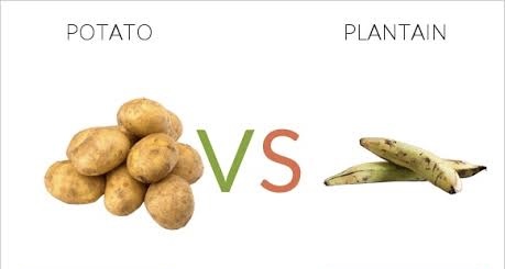 The Great Plantain vs. Potato Debate: Which Side Are You On?