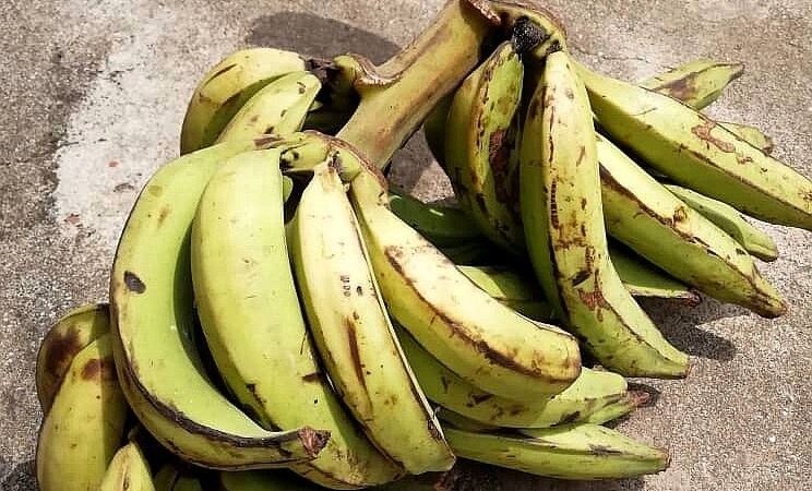 Plantain 101: All the Delicious Foods You Can Make From This Versatile King of the Kitchen