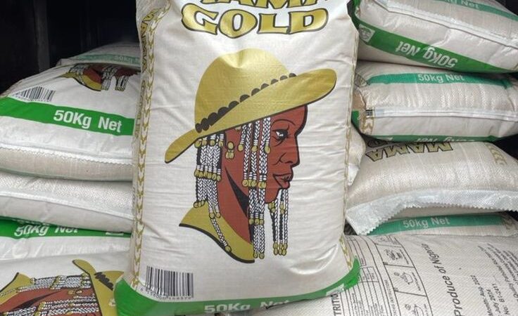 Rice 101: All the Delicious Ways to Enjoy Africa’s Favorite Grain