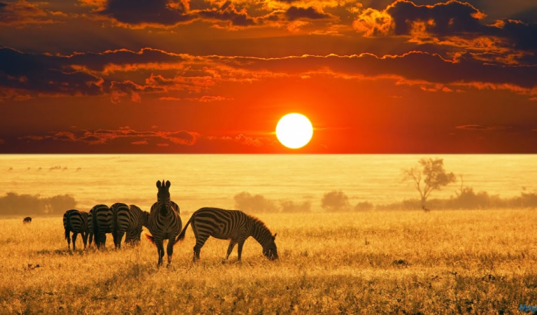 5 African Countries You Can Visit Without a Visa