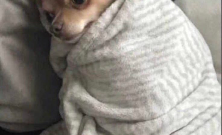 “Soft Life” Is just Clout Chasing My Guy