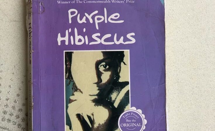Nigerian Books That Could Easily Become Blockbuster Movies